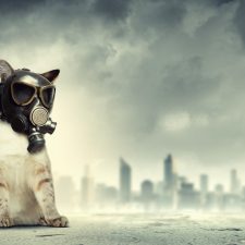 Wolfenstein: The Old Blood