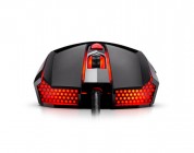 Ravcore Typhoon – Recenzja