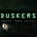 Duskers