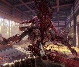 Shadow Warrior 2