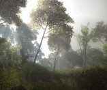 FPV Freerider Recharged