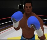 The Thrill of the Fight – VR Boxing
