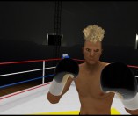 The Thrill of the Fight – VR Boxing