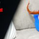 Finnotech F3D filament – Test PLA