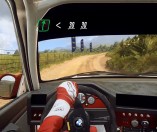 DiRT Rally 2.0