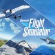 Microsoft Flight Simulator
