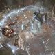 Diablo IV: Vessel of Hatred Recenzja