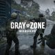 Gray Zone Warfare