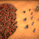 Here Comes The Swarm Recenzja