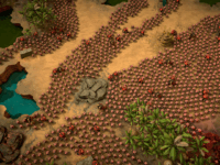 Here Comes The Swarm